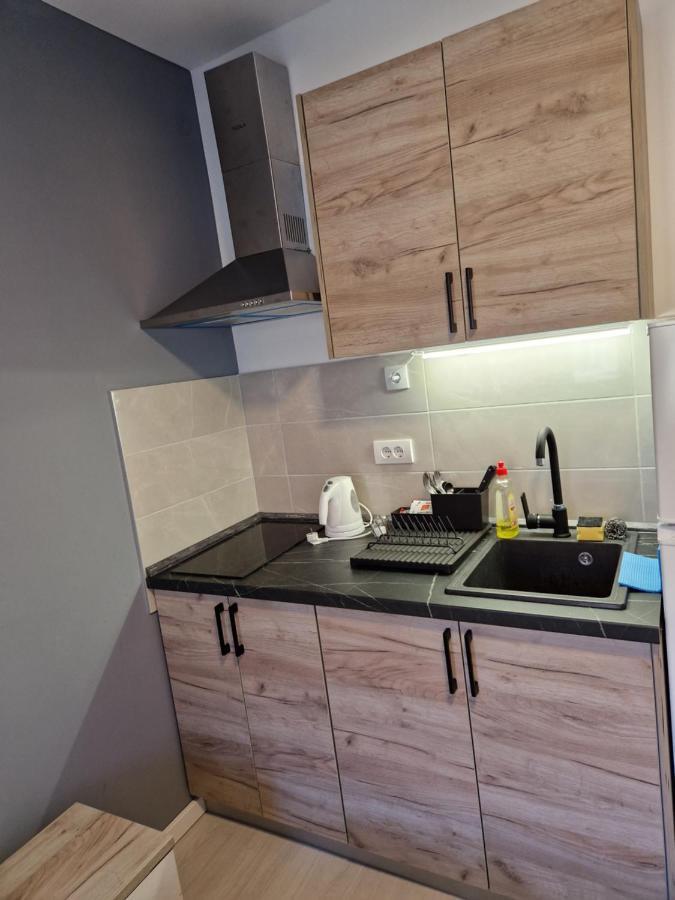 Sofia Apartment Sajmiste エクステリア 写真